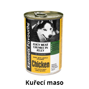 Kuřecí maso